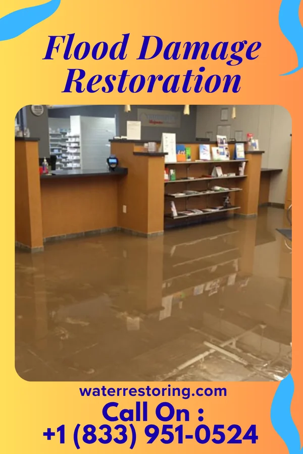 Flood Damage Restoration in Hutchins, TX