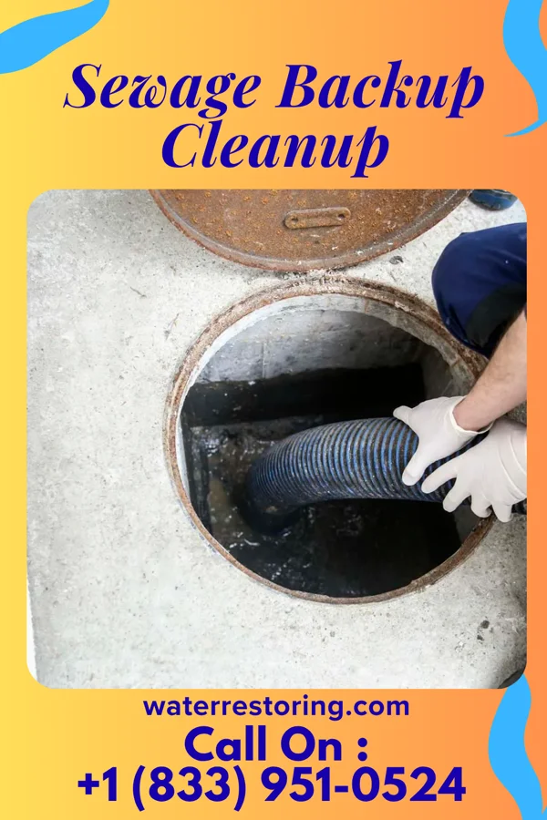 Sewage Backup Cleanup in Hutchins, TX
